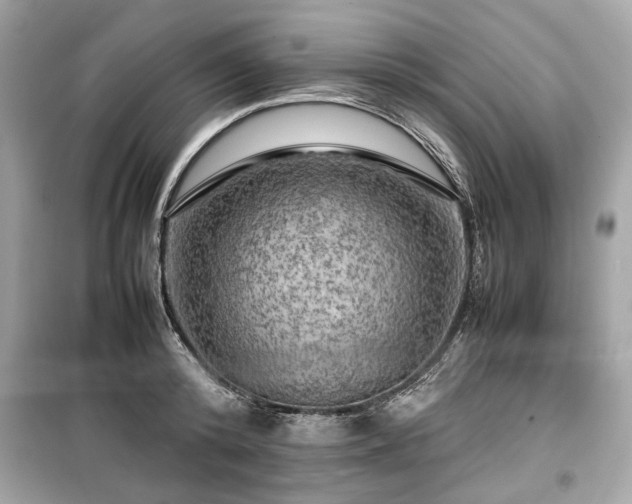 X0000099410800200805161020
