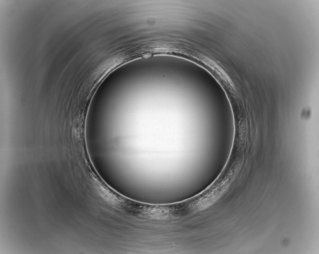 X0000099410801200805161020