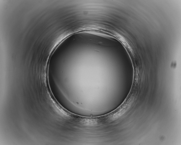 X0000099410802200805161020