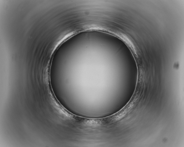 X0000099410806200805161020