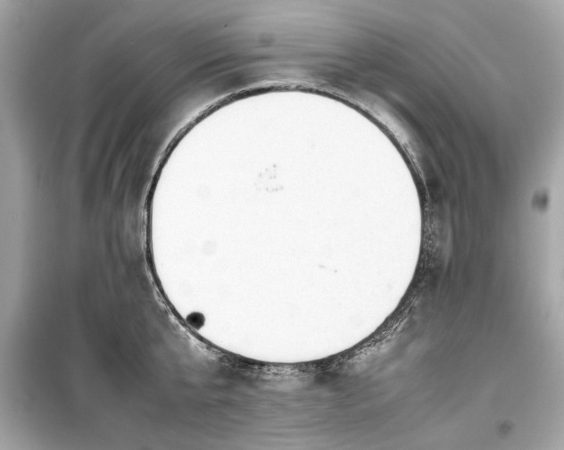 X0000099410807200805161020
