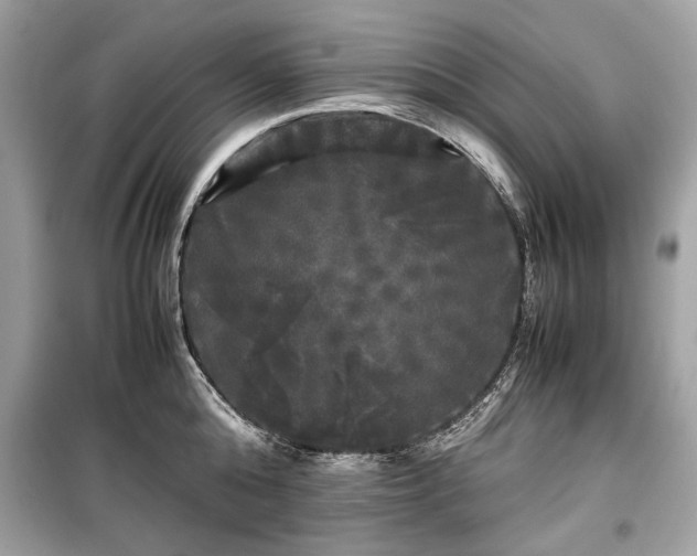 X0000099410808200805161020