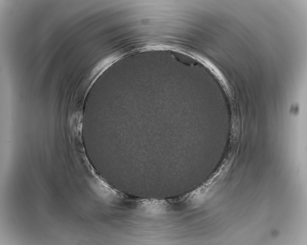 X0000099410809200805161020