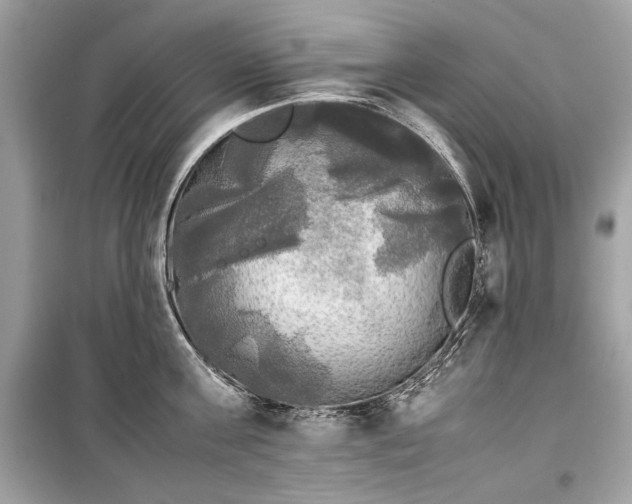 X0000099410811200805161020