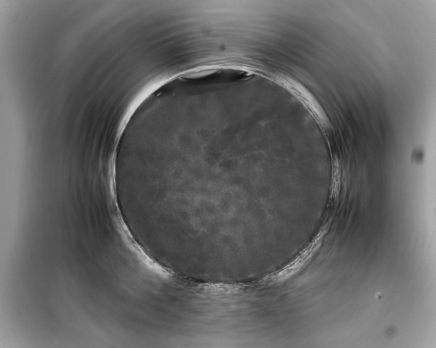 X0000099410812200805161020