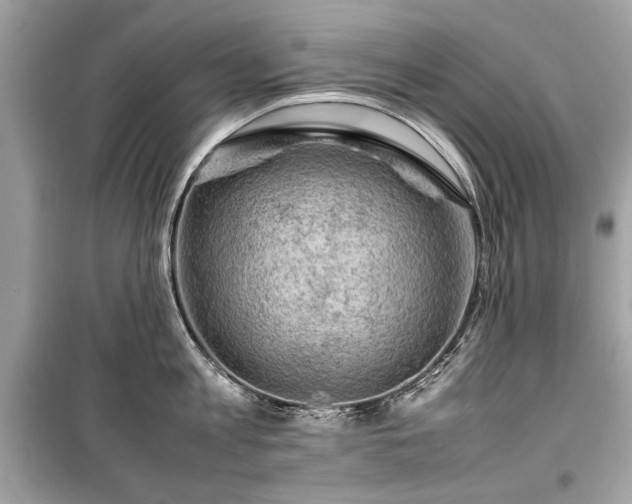 X0000099410813200805161020