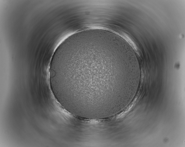 X0000099410814200805161020