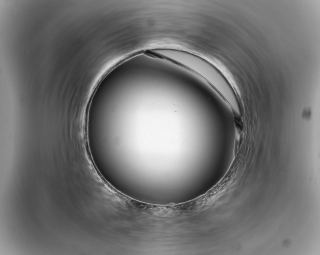 X0000099410815200805161020