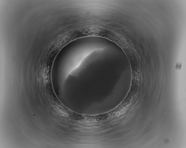X0000099410818200805161019