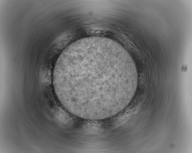 X0000099410820200805161019