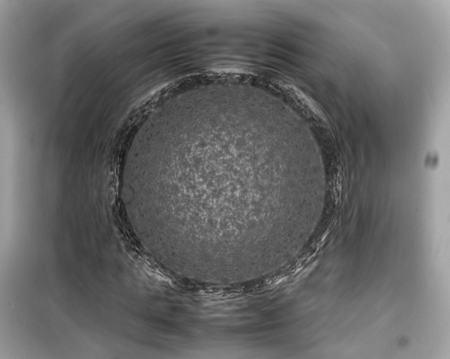X0000099410821200805161019