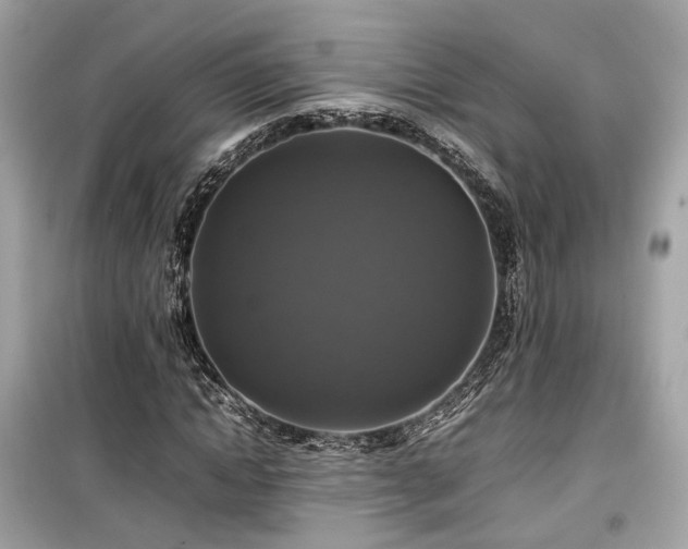 X0000099410822200805161019