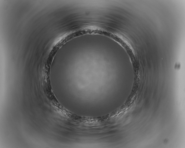 X0000099410823200805161019