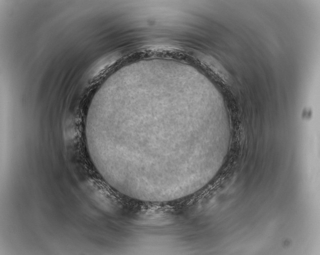 X0000099410824200805161019