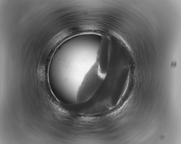 X0000099410825200805161019