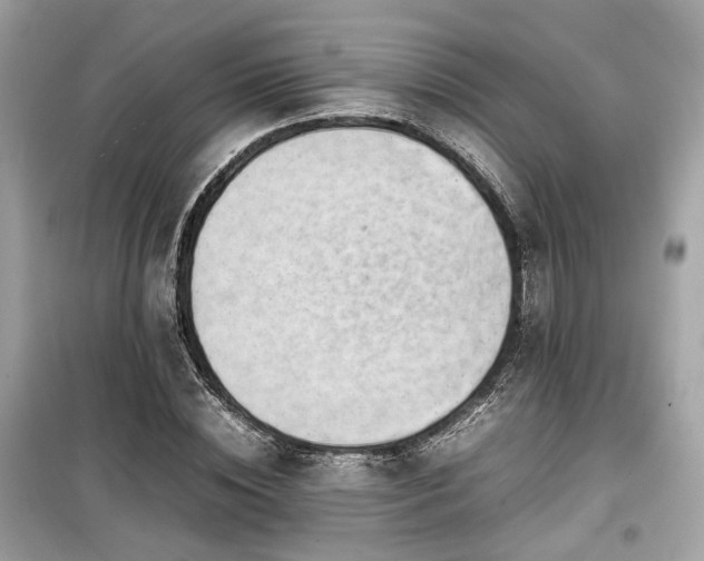 X0000099410828200805161019