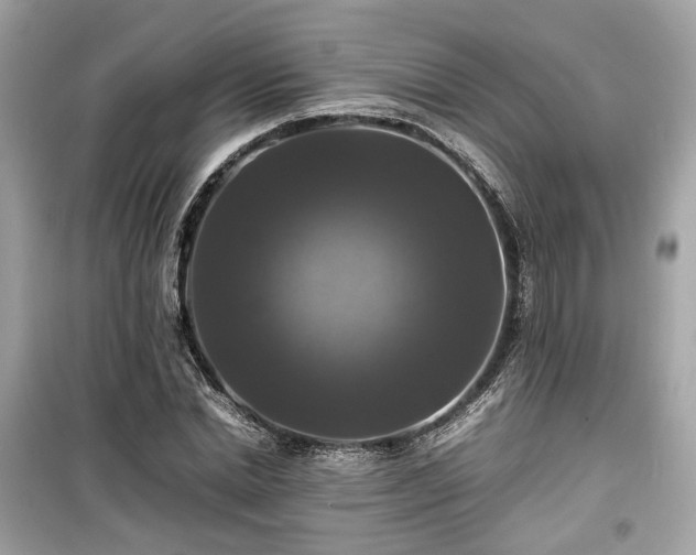 X0000099410830200805161019