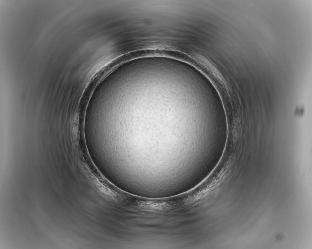 X0000099410831200805161019