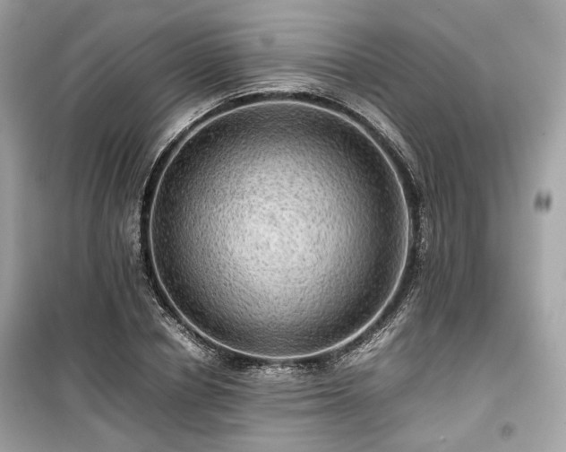 X0000099410834200805161019
