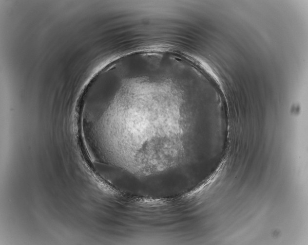 X0000099410835200805161019