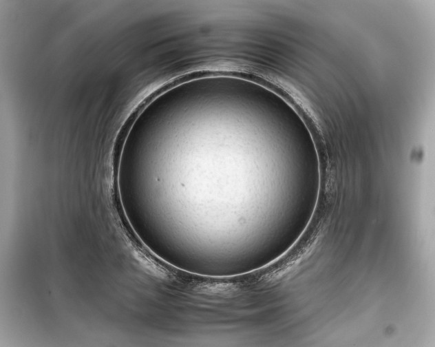 X0000099410837200805161019