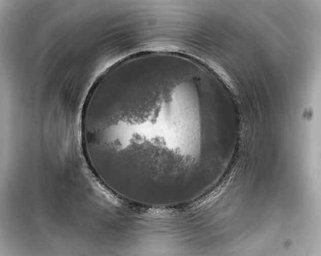 X0000099410840200805161019