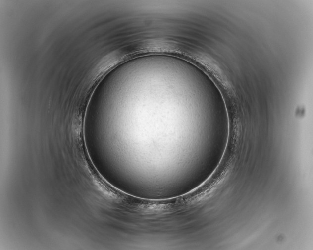 X0000099410841200805161019