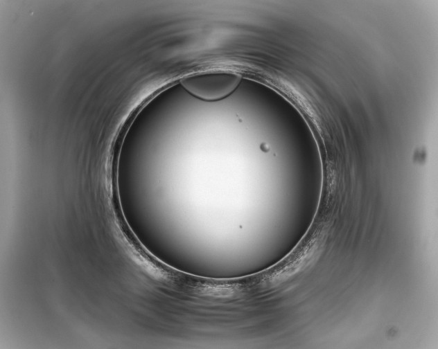 X0000099410843200805161019