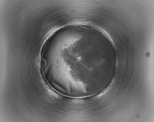 X0000099410844200805161019