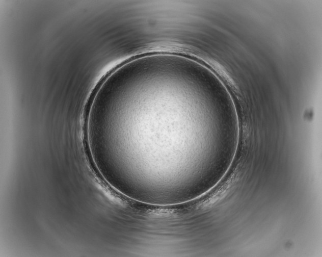 X0000099410846200805161019