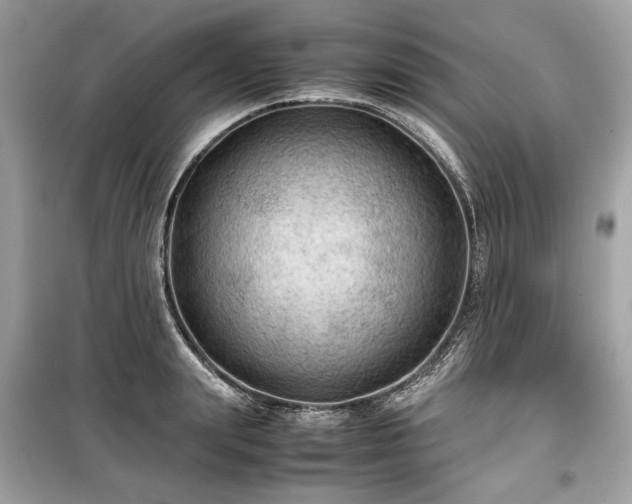 X0000099410847200805161019