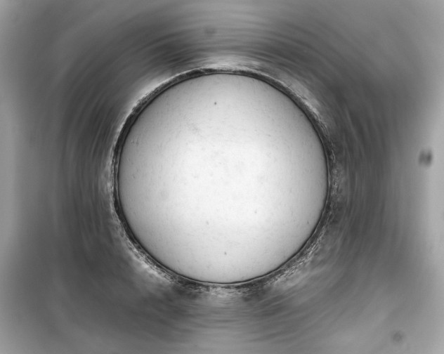 X0000099410848200805161019