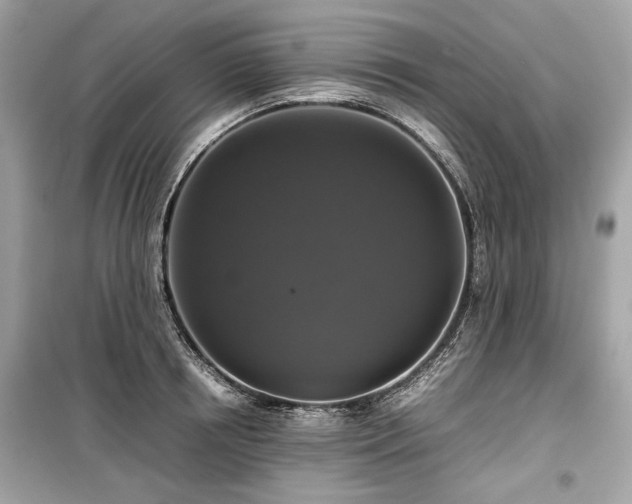 X0000099410850200805161019