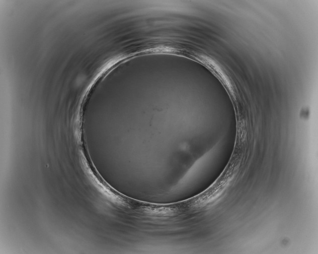 X0000099410851200805161020