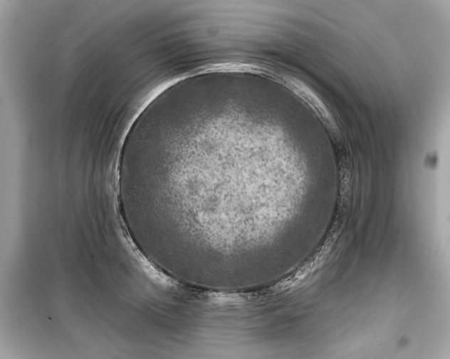 X0000099410852200805161020