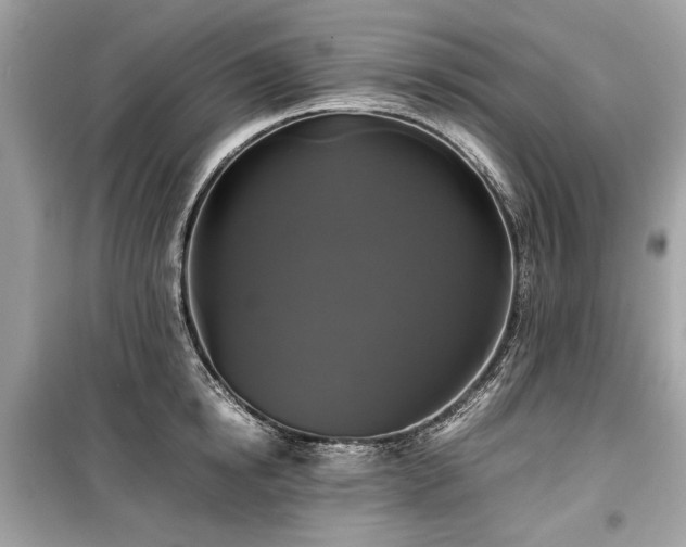 X0000099410854200805161020