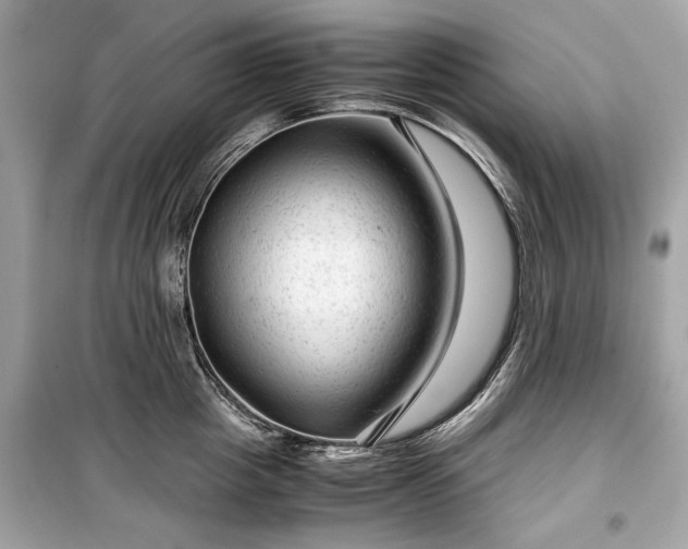X0000099410857200805161020