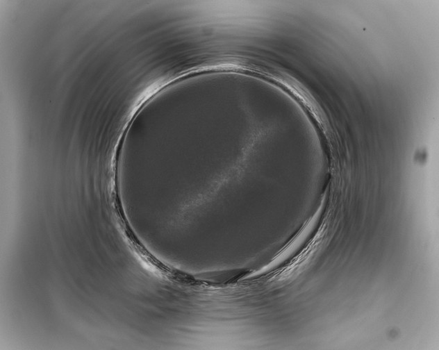 X0000099410858200805161020