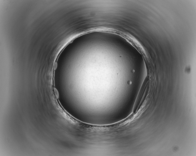 X0000099410860200805161020