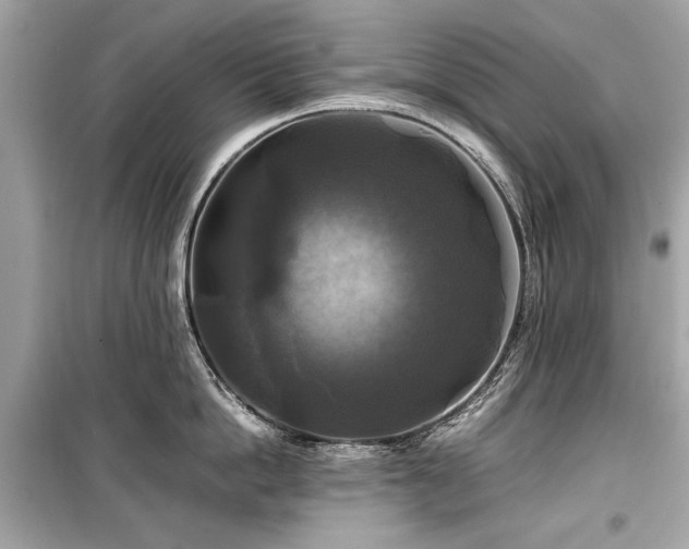 X0000099410862200805161020