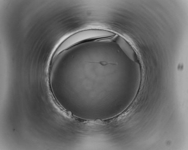 X0000099410864200805161020