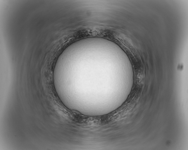 X0000099410865200805161019