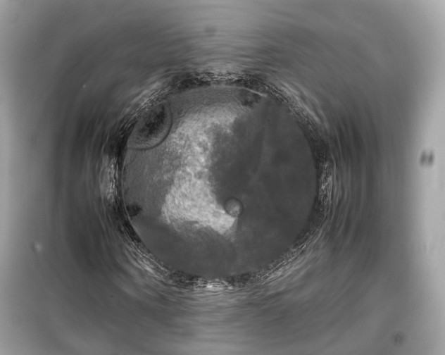 X0000099410866200805161019