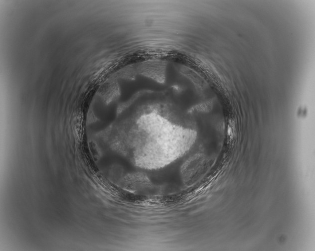 X0000099410867200805161019