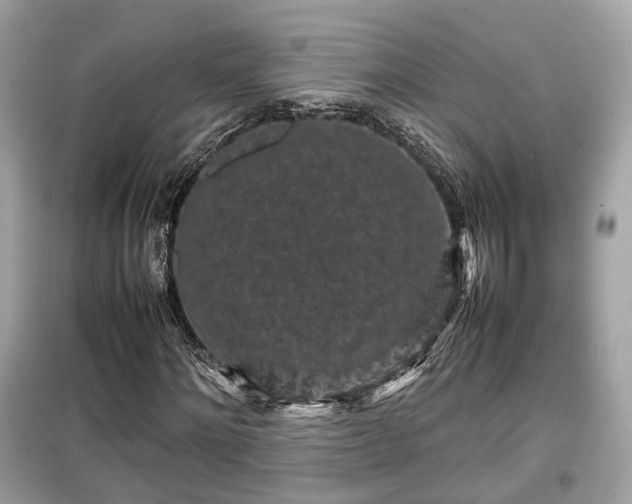 X0000099410868200805161019