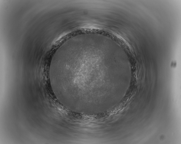 X0000099410870200805161019