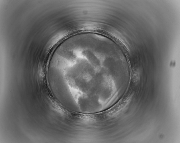 X0000099410874200805161019