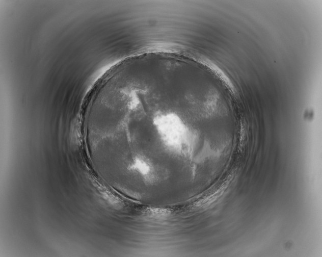 X0000099410878200805161019