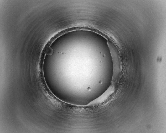 X0000099410880200805161019