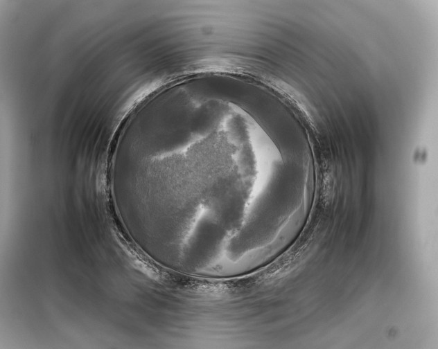 X0000099410882200805161019